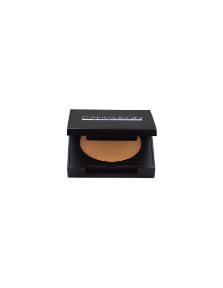 HIGHLIGHTER
