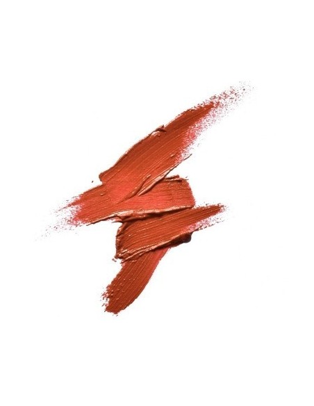 CAMALEON BASIC MATT LIPPENSTIFT - ERDE