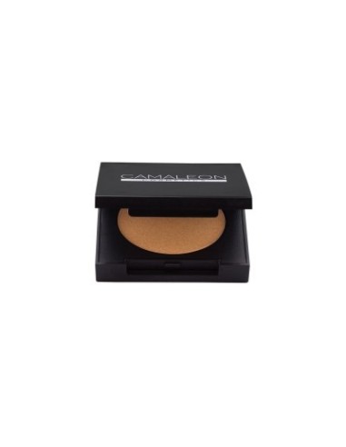 HIGHLIGHTER